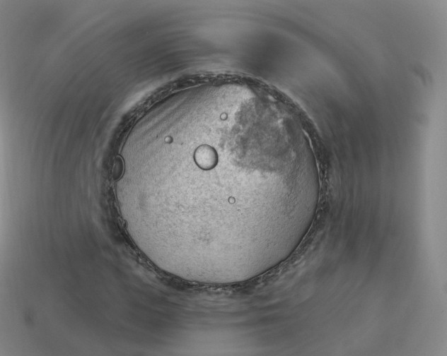 X0000113900823200910081827