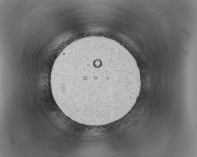 X0000113900824200910081827