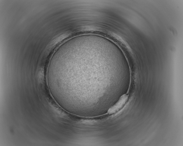 X0000113900825200910081827