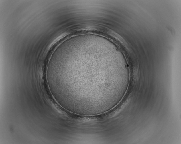 X0000113900826200910081827