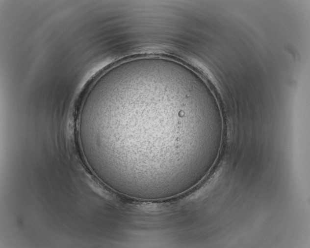 X0000113900827200910081827