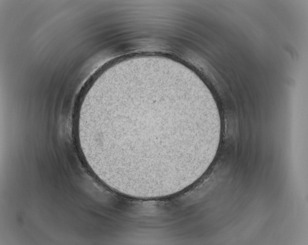 X0000113900828200910081827