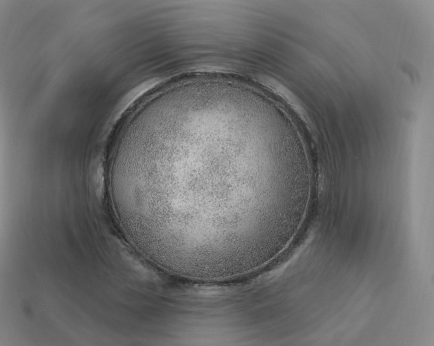 X0000113900829200910081827