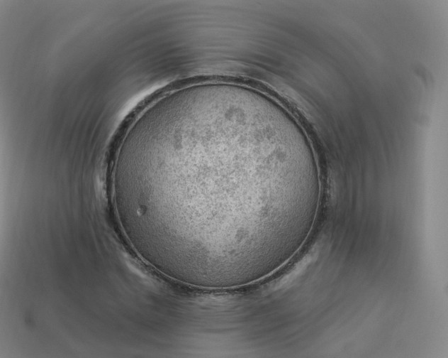 X0000113900830200910081827