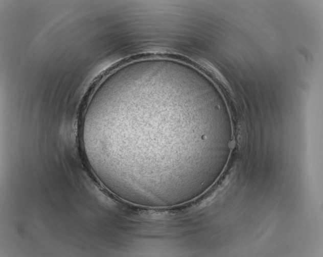 X0000113900831200910081827