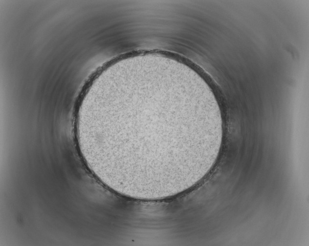 X0000113900832200910081827