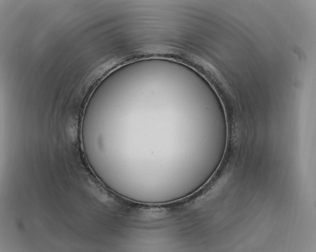 X0000113900833200910081827