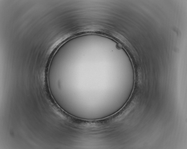 X0000113900834200910081827