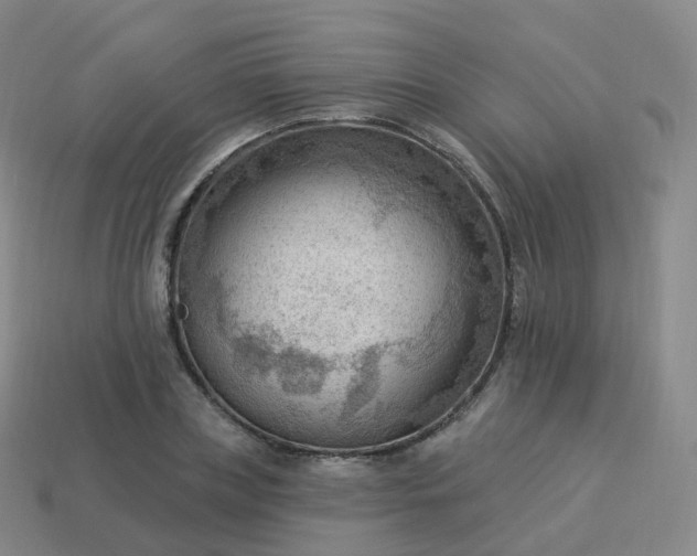 X0000113900835200910081827