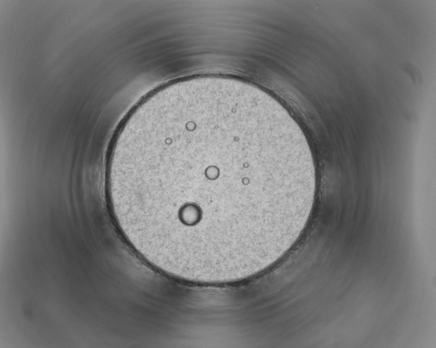 X0000113900836200910081827