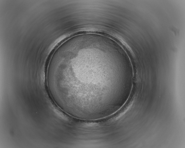 X0000113900837200910081827