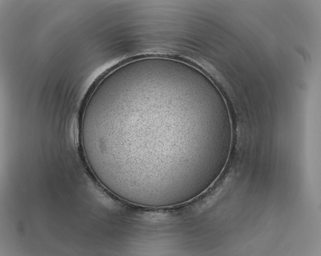 X0000113900838200910081827