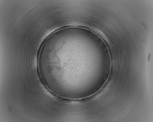 X0000113900839200910081827