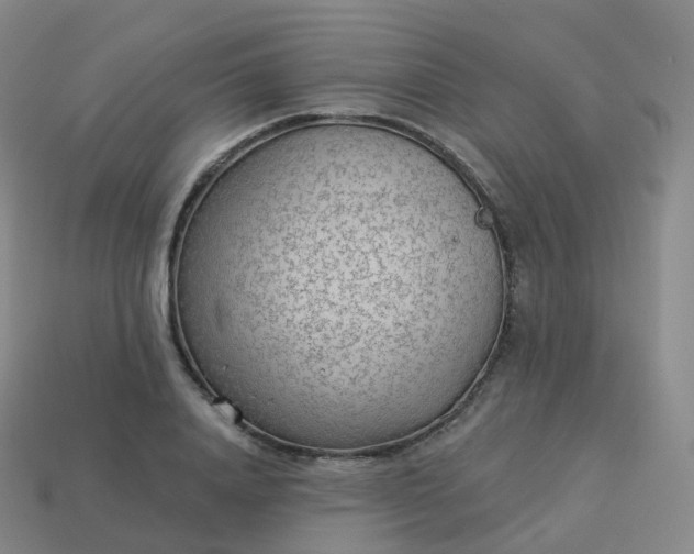 X0000113900840200910081827