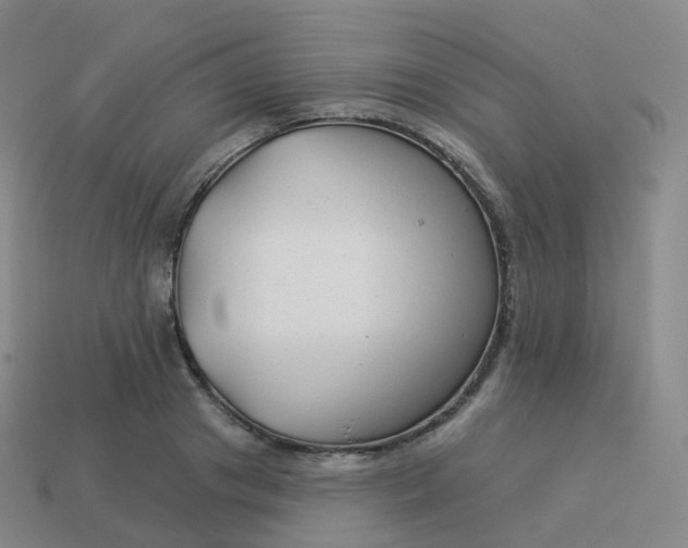 X0000113900841200910081827