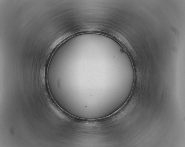 X0000113900842200910081827