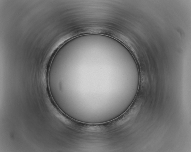 X0000113900843200910081827