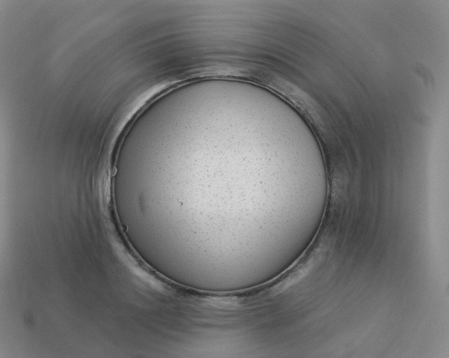 X0000113900844200910081827