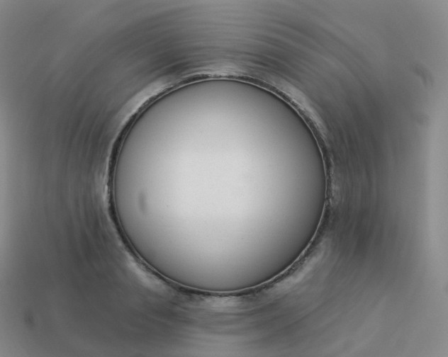 X0000113900845200910081827