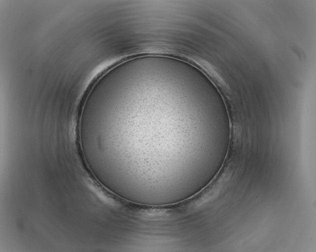 X0000113900846200910081827