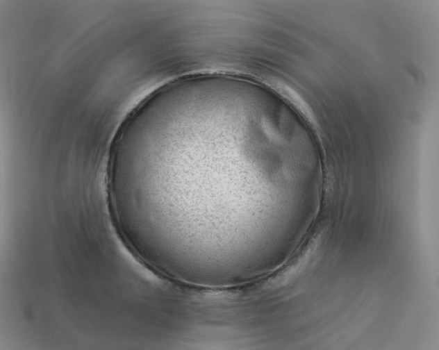 X0000113900847200910081827