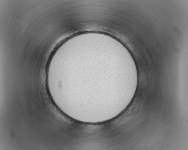 X0000113900848200910081827