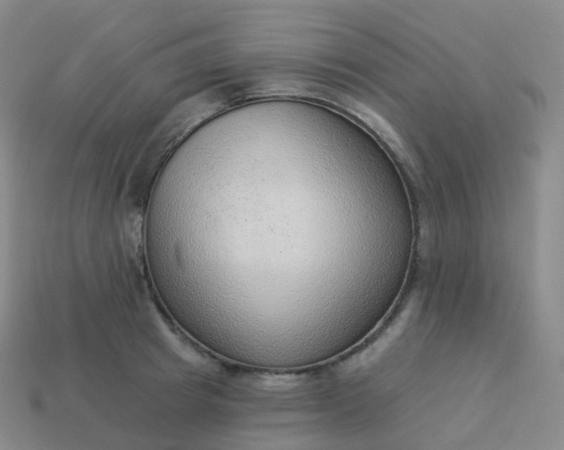 X0000113900849200910081827