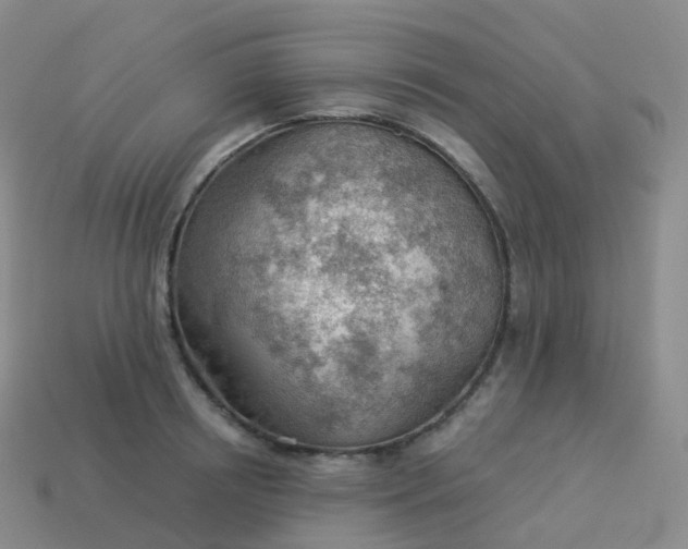 X0000113900850200910081827