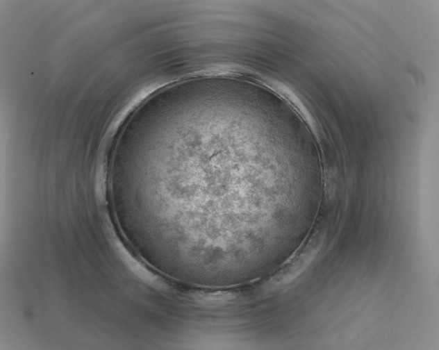 X0000113900851200910081827