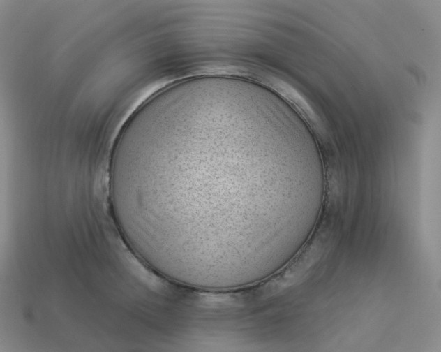 X0000113900852200910081828