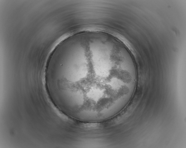 X0000113900853200910081828