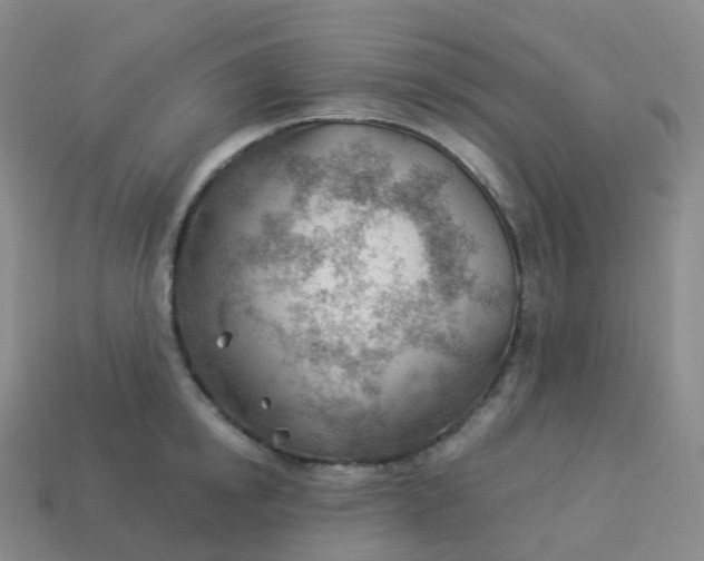 X0000113900854200910081828