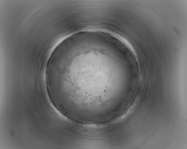 X0000113900855200910081828