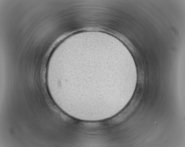 X0000113900856200910081828