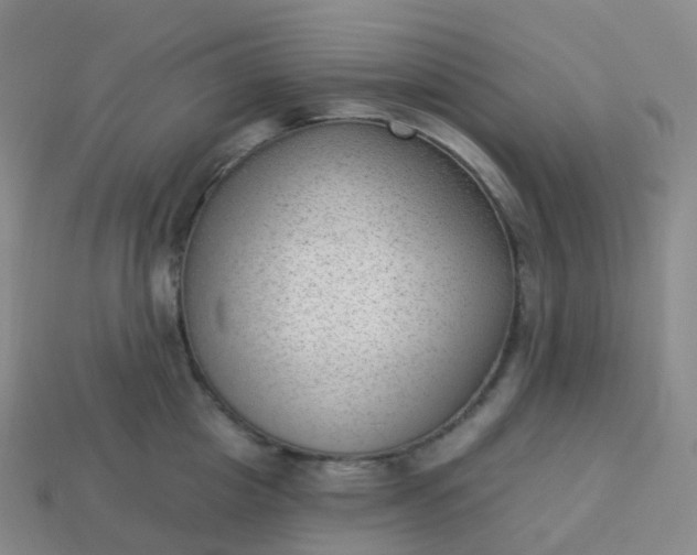 X0000113900857200910081828