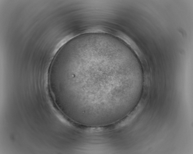 X0000113900858200910081828