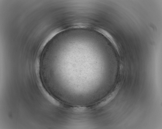 X0000113900859200910081828