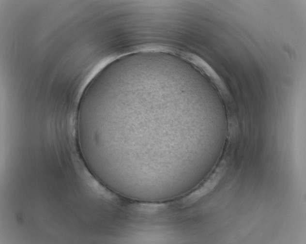 X0000113900860200910081828