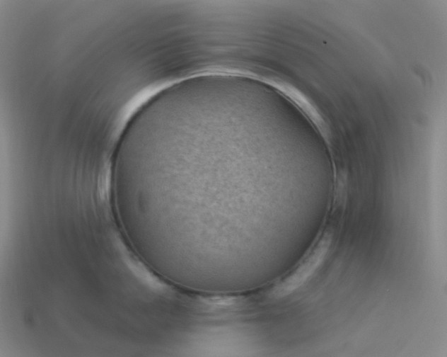 X0000113900862200910081828