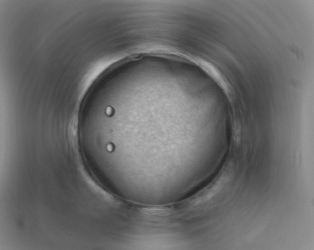 X0000113900863200910081828