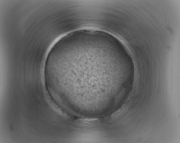 X0000113900864200910081828