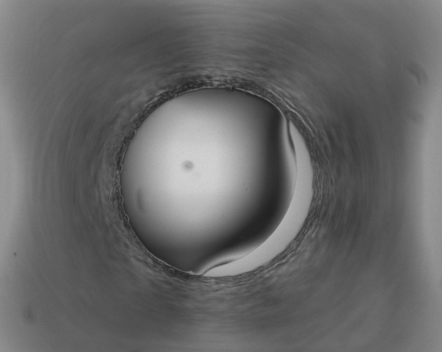 X0000113900865200910081827