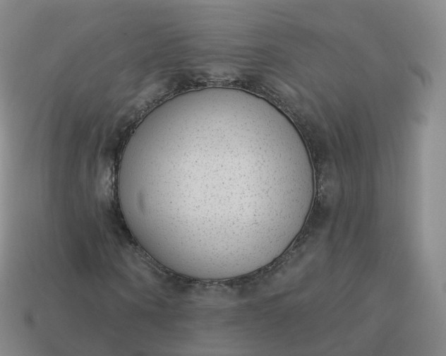 X0000113900866200910081827