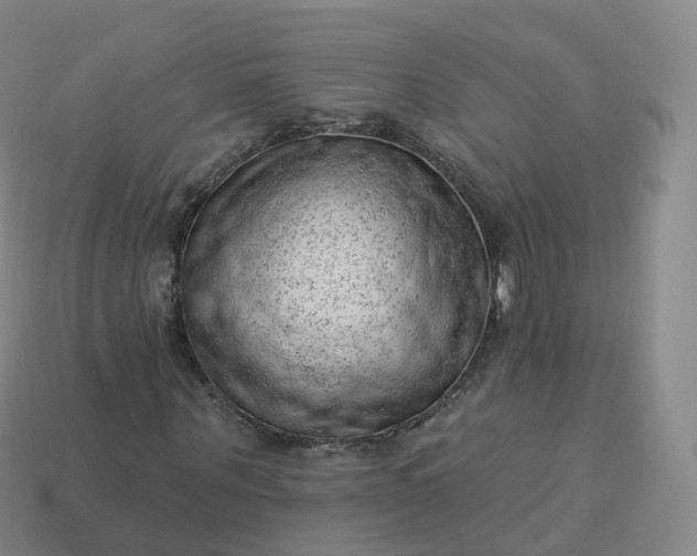 X0000113900867200910081827