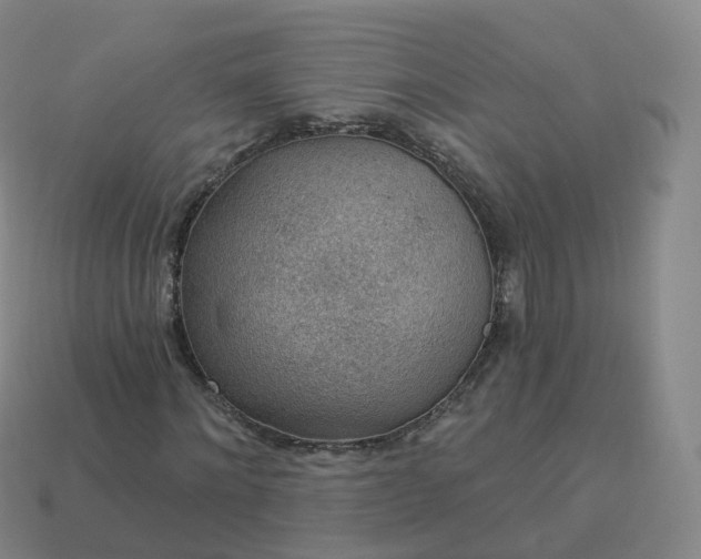 X0000113900868200910081827