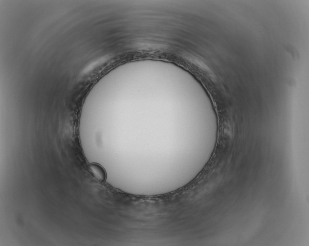 X0000113900869200910081827