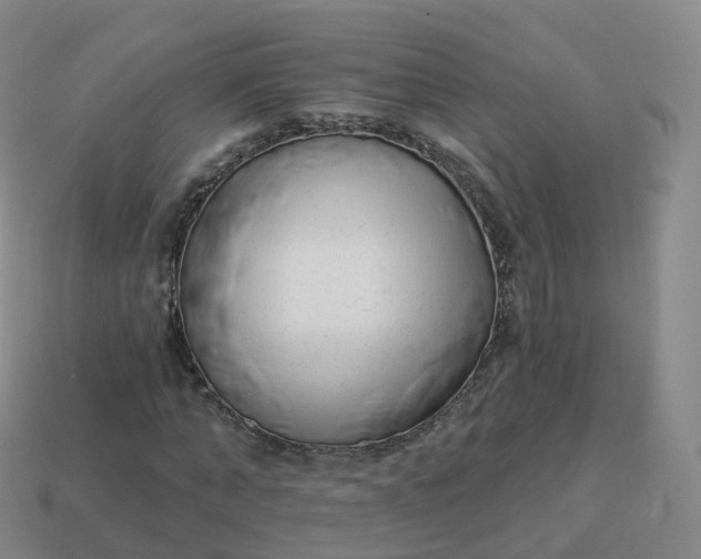 X0000113900870200910081827