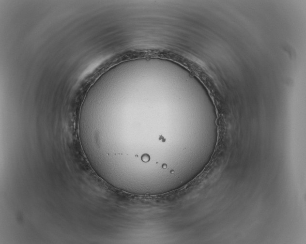 X0000113900871200910081827