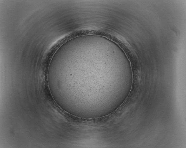 X0000113900872200910081827