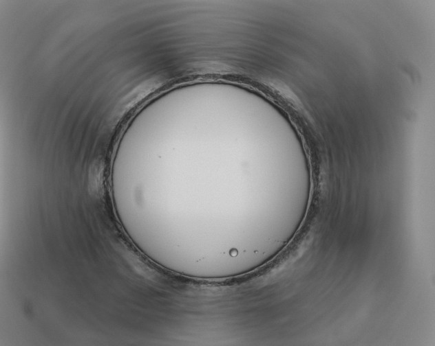 X0000113900873200910081827